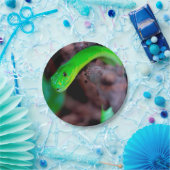 Pythonschlange-Schlange Pappteller (Party)