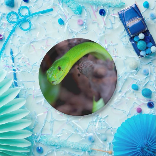 Pythonschlange-Schlange Pappteller (Party)