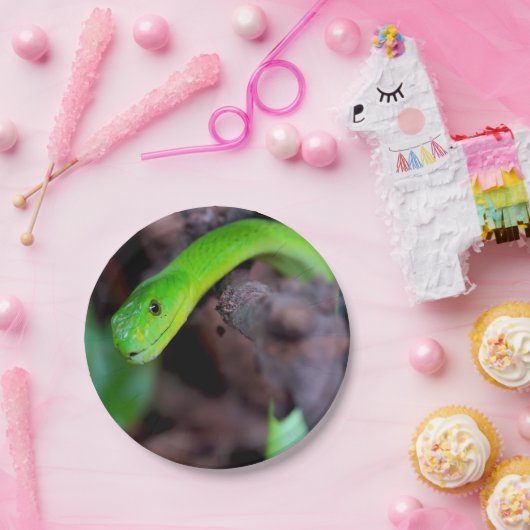 Pythonschlange-Schlange Pappteller (Party)