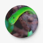 Pythonschlange-Schlange Pappteller (Vorderseite)