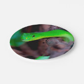 Pythonschlange-Schlange Pappteller (Schrägansicht)