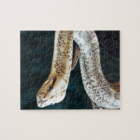 Pythonschlange-Schlange Puzzle (Horizontal)