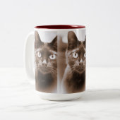 Pywacket Potrait I Tasse (Vorderseite Links)