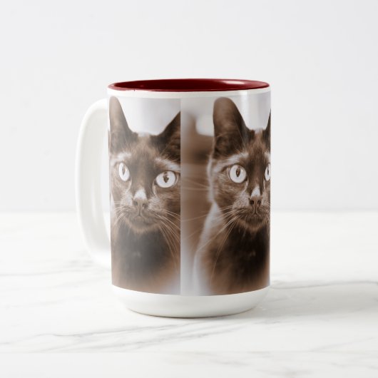 Pywacket Potrait I Tasse (Vorderseite Links)