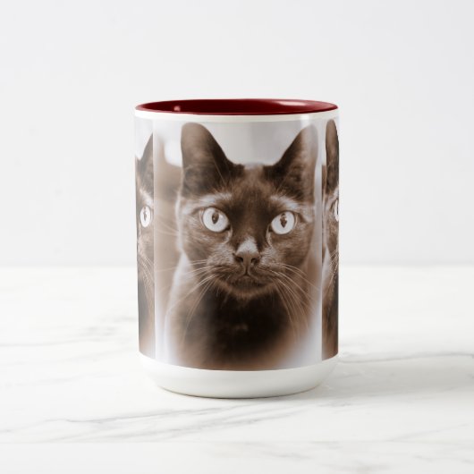 Pywacket Potrait I Tasse (Mittel)