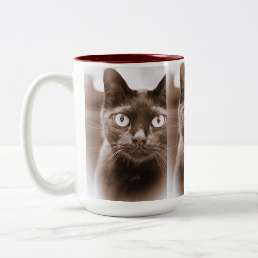 Pywacket Potrait I Tasse (Links)