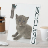 QATTOOS-PEDESTALES SIGN SOCKELSCHILD (In Situ)