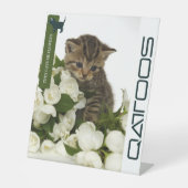 QATTOOS-PEDESTALES SIGN SOCKELSCHILD (Vorderseite)