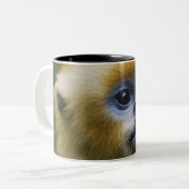 Qinling Berge, im Oktober 2006 Zweifarbige Tasse (Vorderseite Links)