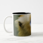 Qinling Berge, im Oktober 2006 Zweifarbige Tasse (Links)