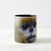 Qinling Berge, im Oktober 2006 Zweifarbige Tasse (Mittel)