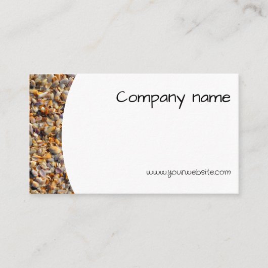 QR Business Card für Minimalistische Muscheln Visitenkarte (Vorderseite)