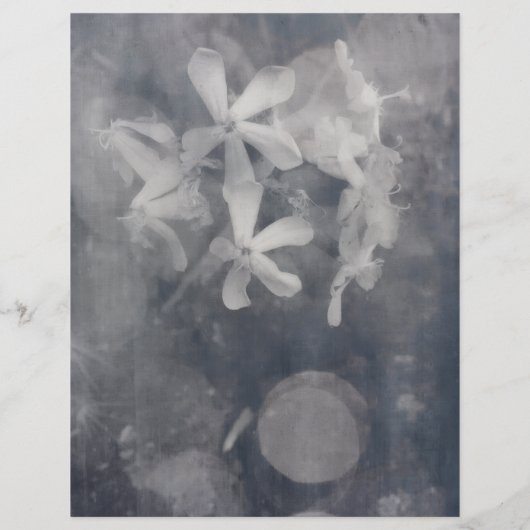 QR-Code Flyer (Hinten)