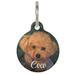 QR-Code-Name Pet-Tag Haustiermarke