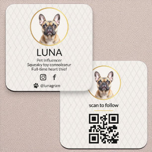 QR Code Social Media Gold Dog Pet Elegantes Foto Quadratische Visitenkarte