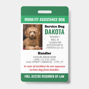 QR-Foto-ID des Hundes für die Unterstützung der gr Ausweis
