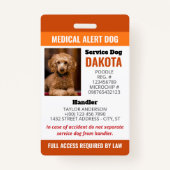 QR-Foto-ID für Orange Medical Alert Dog Logo Ausweis (Vorderseite)