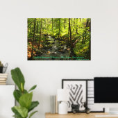 Quabbin Reservoir Tributary Poster (Heimbüro)