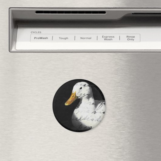 Quacker Magnet (In Situ (Geschirrspüler))