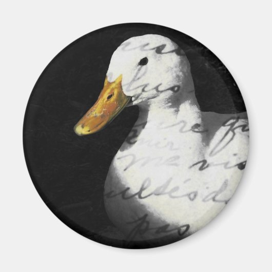Quacker Magnet (Vorne)