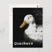Quacker Postkarte (Vorne/Hinten)