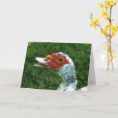 Quackity Quack Don't Talk Back Karte (Gelbe Blume)