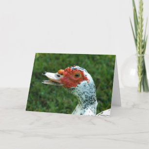 Quackity Quack Don't Talk Back Karte