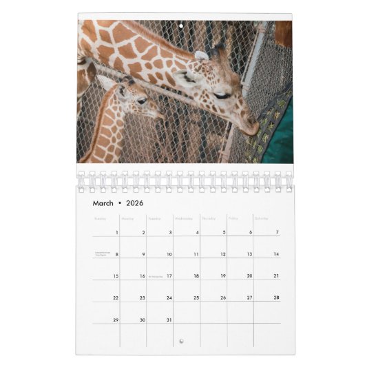 Quad Squad 2022 5,5" x 7" Kalender (Mär 2026)