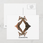 QUADGIRAFFEL POSTKARTE (Vorne/Hinten)