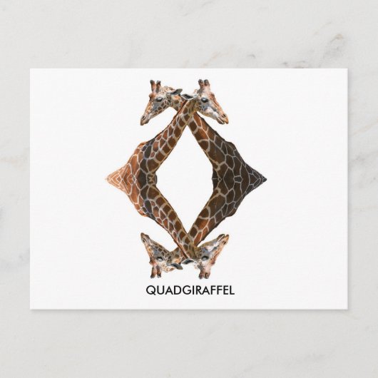 QUADGIRAFFEL POSTKARTE (Vorderseite)