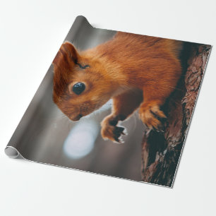 QUADRAL AUF BÄUME GESCHENKPAPIER