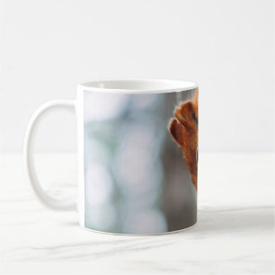 QUADRAL AUF BÄUME KAFFEETASSE