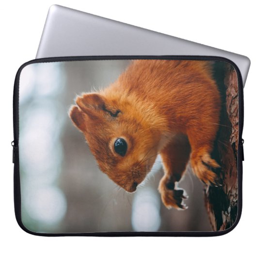 QUADRAL AUF BÄUME LAPTOPSCHUTZHÜLLE (Vorderseite)