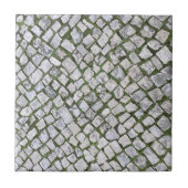 Quadrat Kobblestone Felsmuster mit grünem Moos Fliese (Vorderseite)