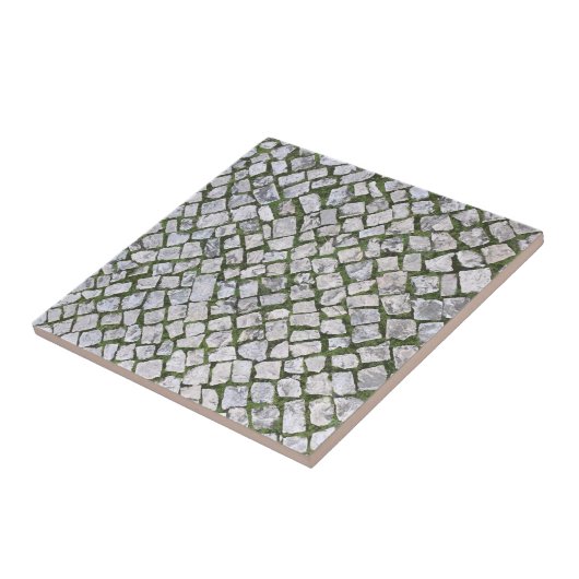 Quadrat Kobblestone Felsmuster mit grünem Moos Fliese (Seite)