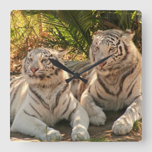 Quadrat-Uhr - Maßgeschneiderte Quadratische Wanduhr (Vorderseite)