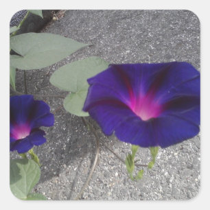 Quadratischer glatter Blumenaufkleber Aufkleber