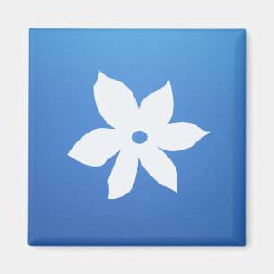 Quadratischer Magnet