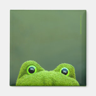 Quadratischer Magnet-Entwurf des Peekaboo-Frosch- Magnet