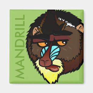 QUADRATISCHER MANDRILL MAGNET