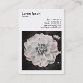 Quadratisches Foto (v3) - Chrysantheme Visitenkarte (Rückseite)