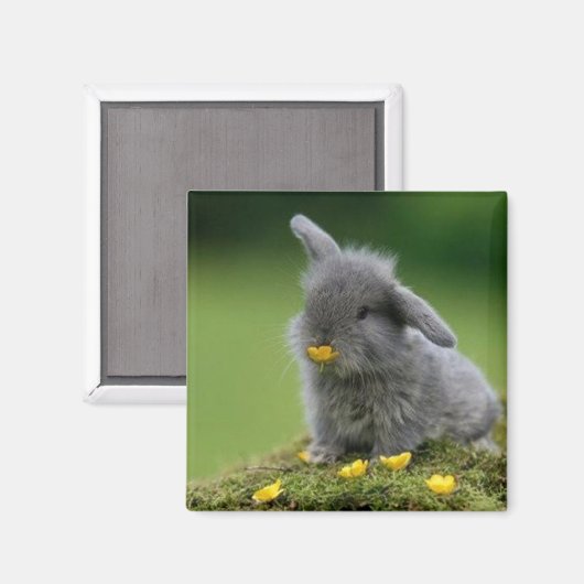 Quadratmagnet Magnet (Vorderseite/Rückseite)