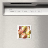 Quadratzelle Magnet (In Situ (Geschirrspüler))