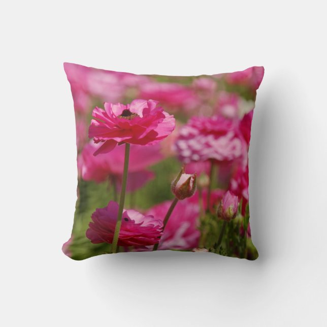 Quadratzoll mit rosa Ranunculus-Design Kissen (Vorderseite)