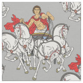 Quadriga Stoff (Nahaufnahme)