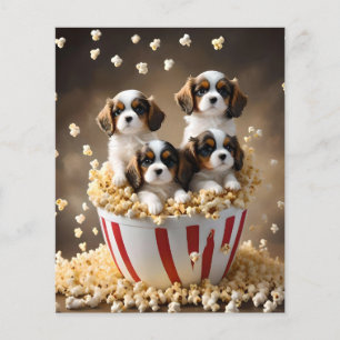Quads Cavalier Spaniel Welpen im Popcorn, Flyer