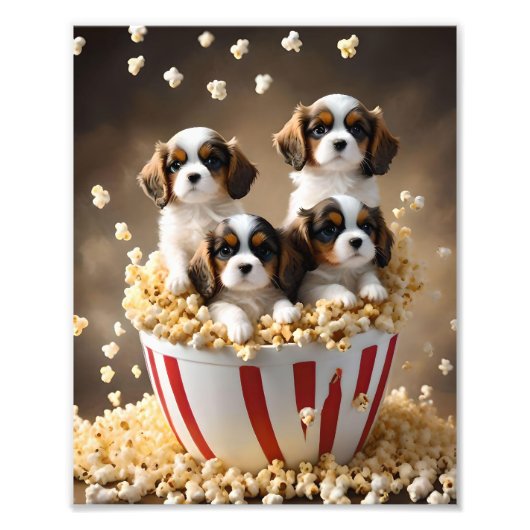 Quads Cavalier Spaniel Welpen im Popcorn, Fotodruck (Vorne)