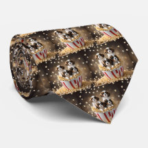 Quads Cavalier Spaniel Welpen im Popcorn,