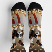 Quads Cavalier Spaniel Welpen im Popcorn, Socken (Oben)