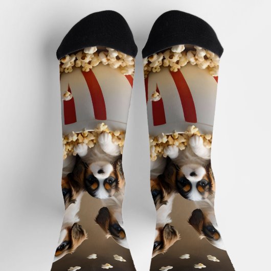 Quads Cavalier Spaniel Welpen im Popcorn, Socken (Oben)